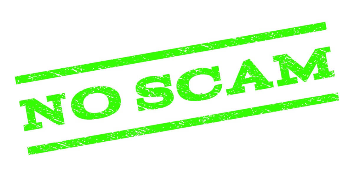 Don’t get scammed by a bad agency, hire a WSI Consultant